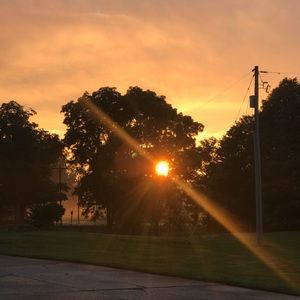 Meet your Posher, Kristie